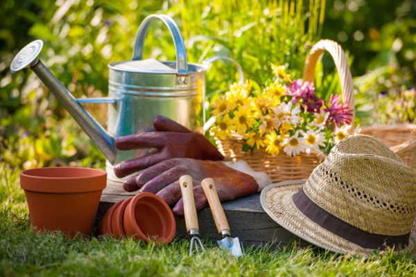 foto de ferramentas para jardinagem